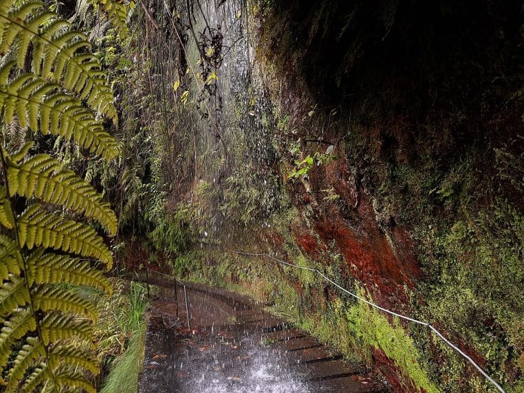 Plage de Las Teresitas à Tenerife, sable doré et océan Atlantique.