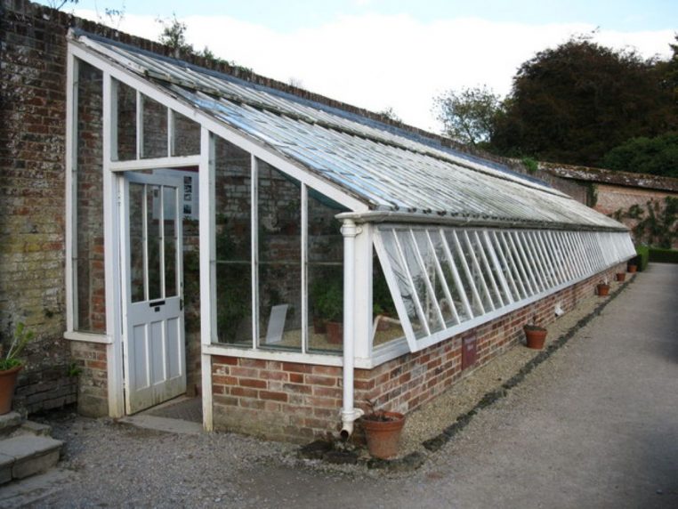 Petite serre adossée à un mur, dédiée à la culture et à la protection des pélargoniums.