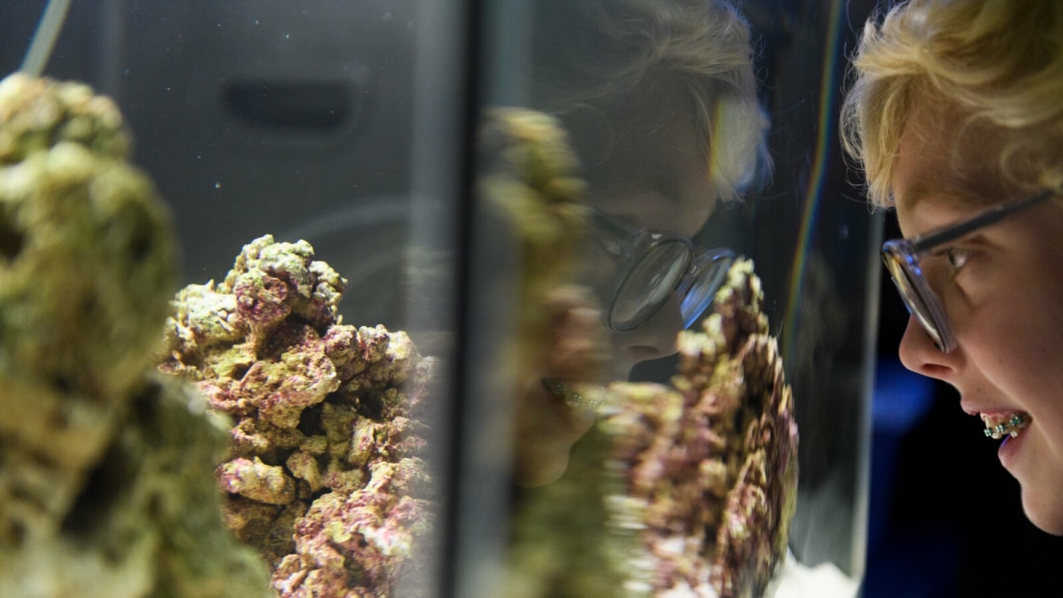 Pieuvre Cadeau Enfant