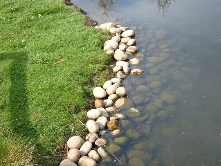 Bord de pelouse net le long d’un point d’eau, avec galets en lisière, illustrant l’importance de contours bien dessinés.