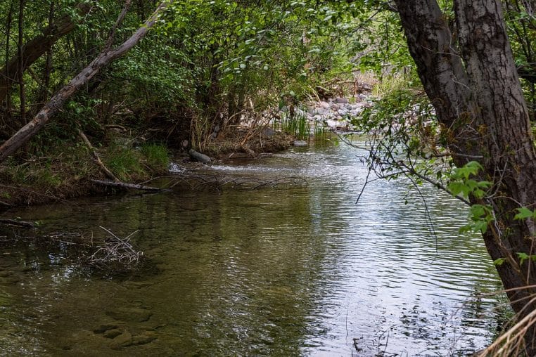 Rivière paisible bordée d’arbres et de rochers, eau claire et ombre fraîche, décor propice au lâcher-prise.