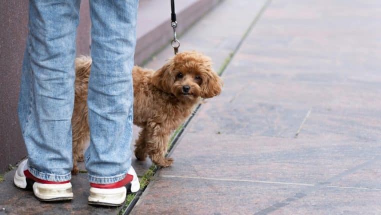 Un père retrouve sa fille enlevée le jour de Noël grâce à la localisation de son téléphone ee