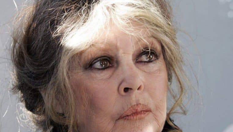 brigitte bardot que sont devenus ses animaux - copie