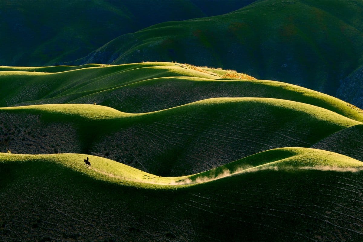 Silhouette d'un cavalier sur un cheval au galop traversant des collines verdoyantes, avec un sillage de poussière.