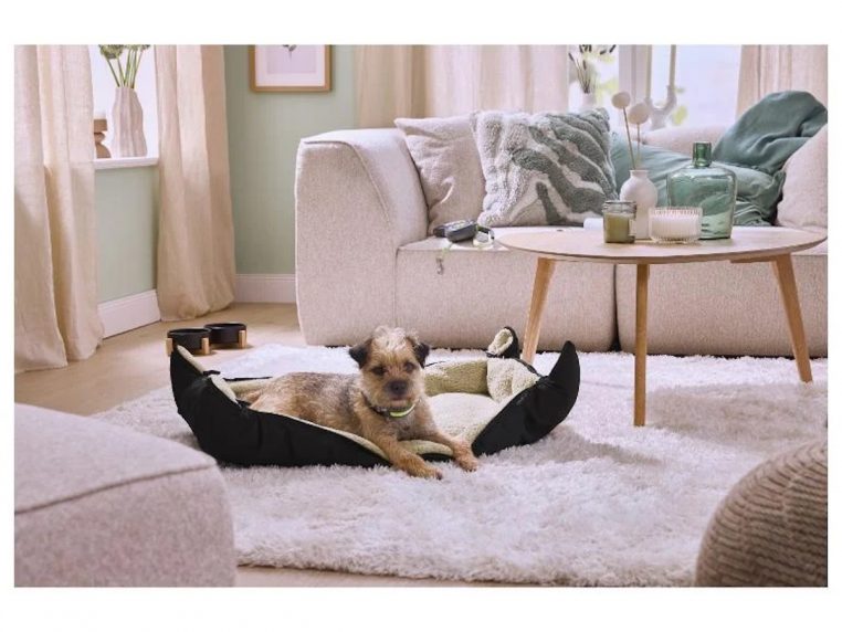 lidl nouvelle gamme pour les chiensss - copie