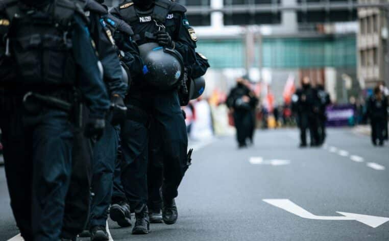 chien policier Dino actu