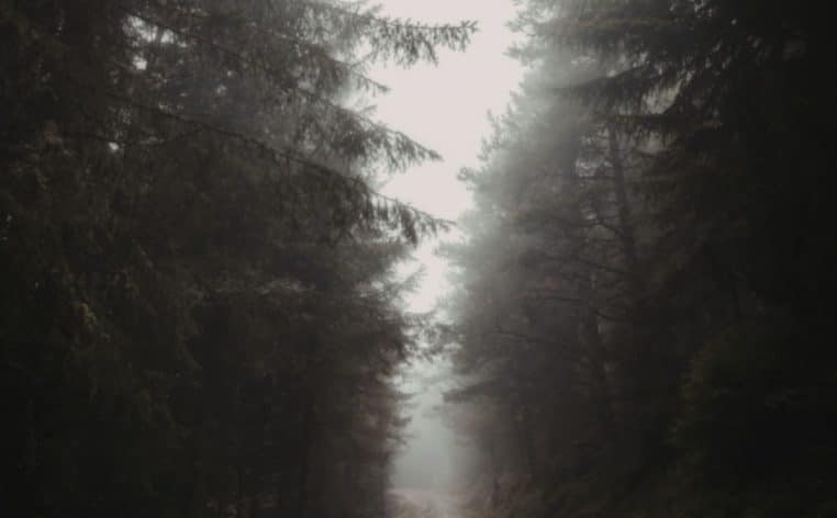 forêt fait divers tombes adolescents