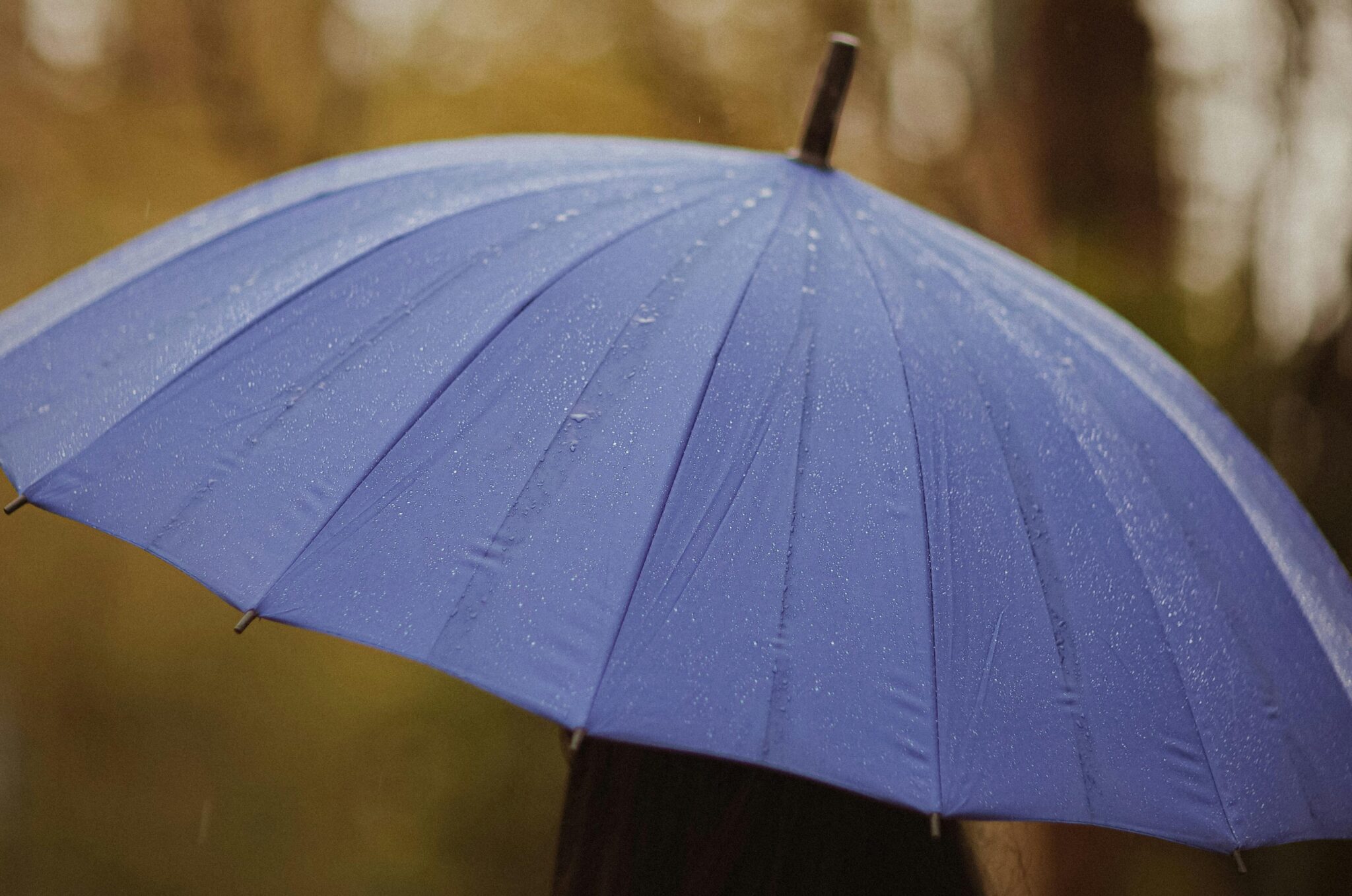 De fortes pluies attendues cette semaine