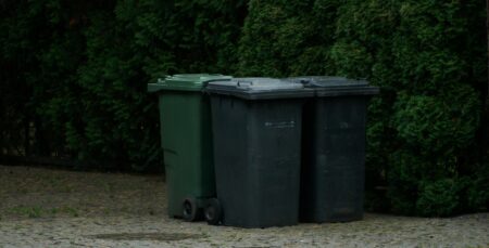 Ils se débarrassent du corps de leur frère dans la poubelle