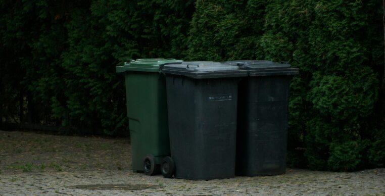 Ils se débarrassent du corps de leur frère dans la poubelle