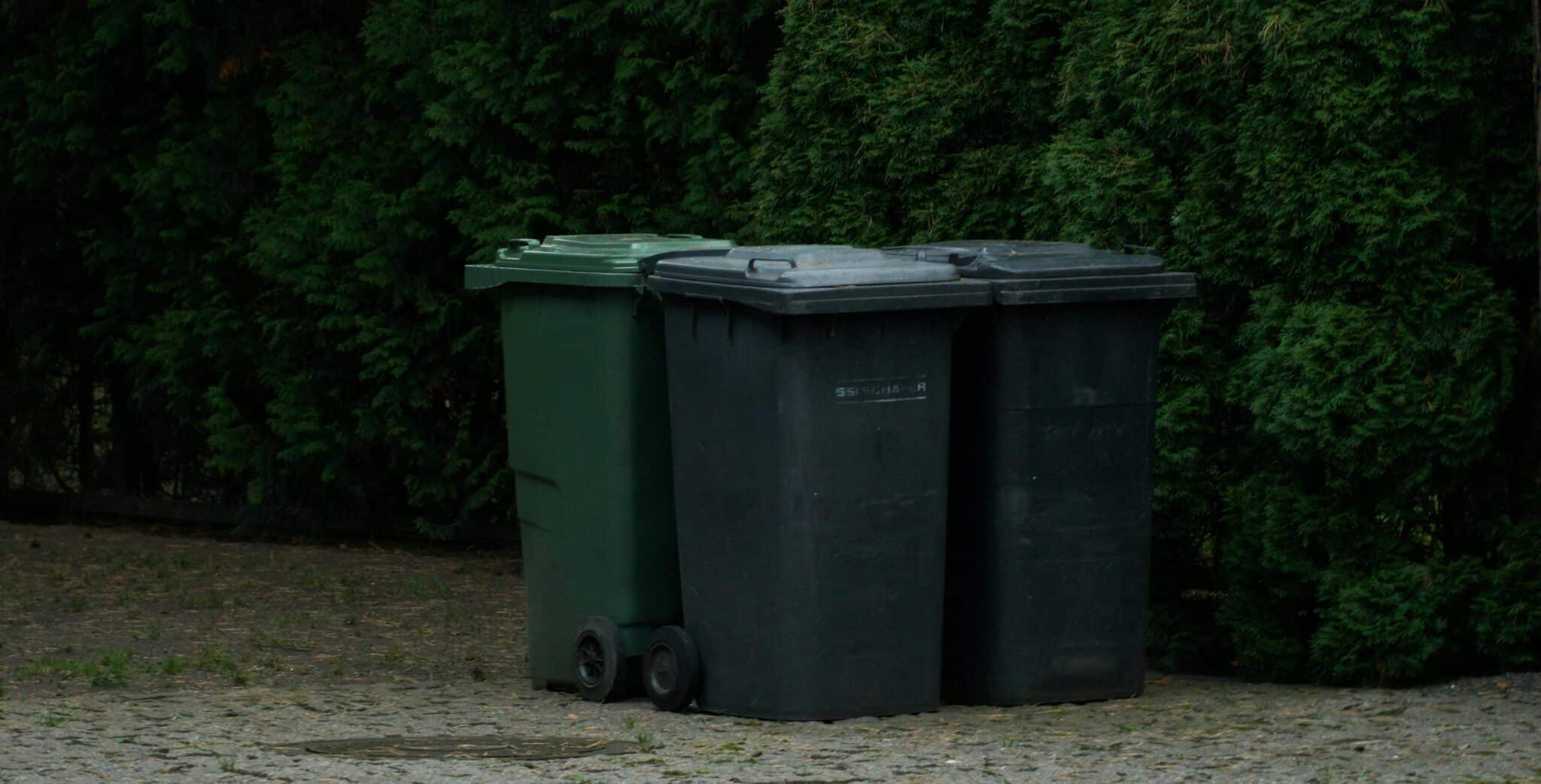 Ils se débarrassent du corps de leur frère dans la poubelle