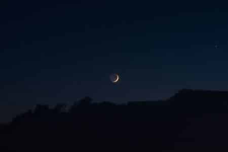 silhouette of trees during night time