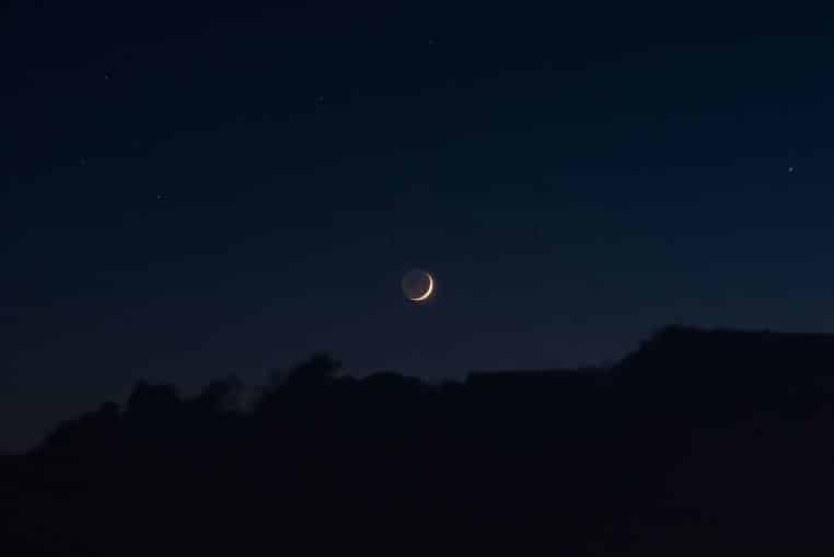 silhouette of trees during night time
