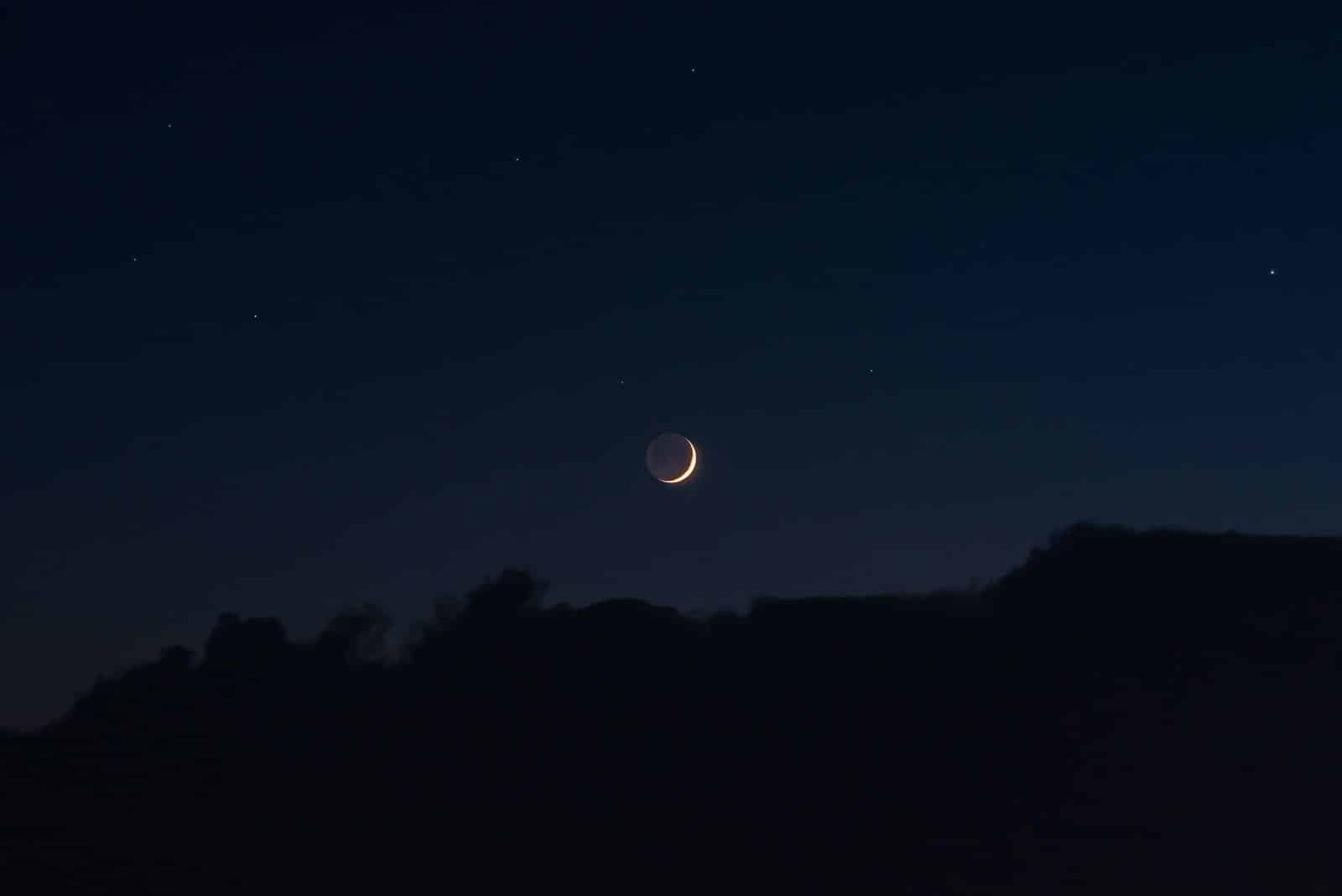 silhouette of trees during night time
