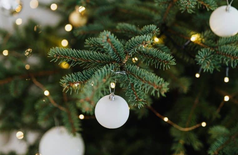 Pourquoi il ne faut pas garder son sapin trop longtemps ?