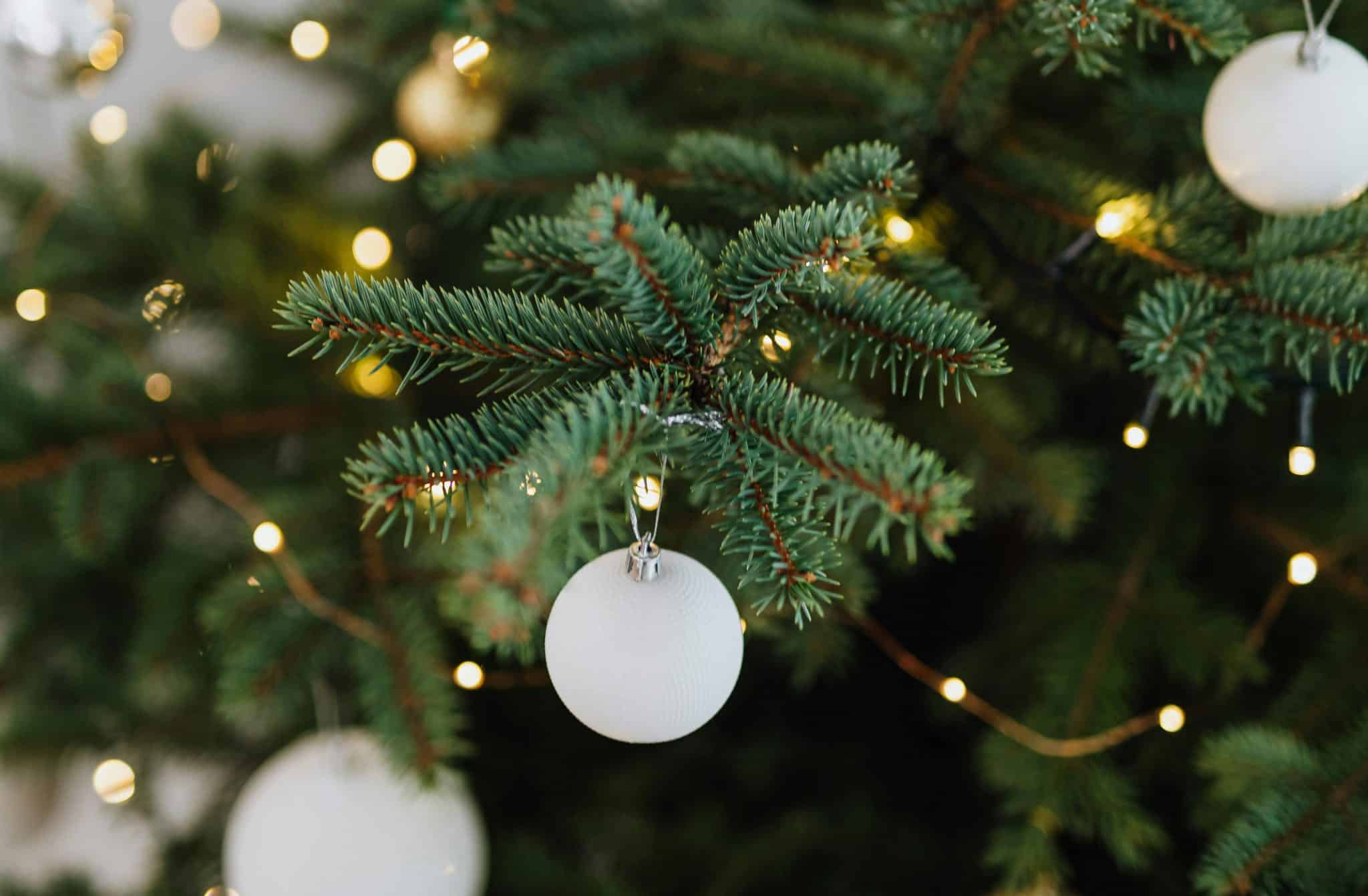 Pourquoi il ne faut pas garder son sapin trop longtemps ?