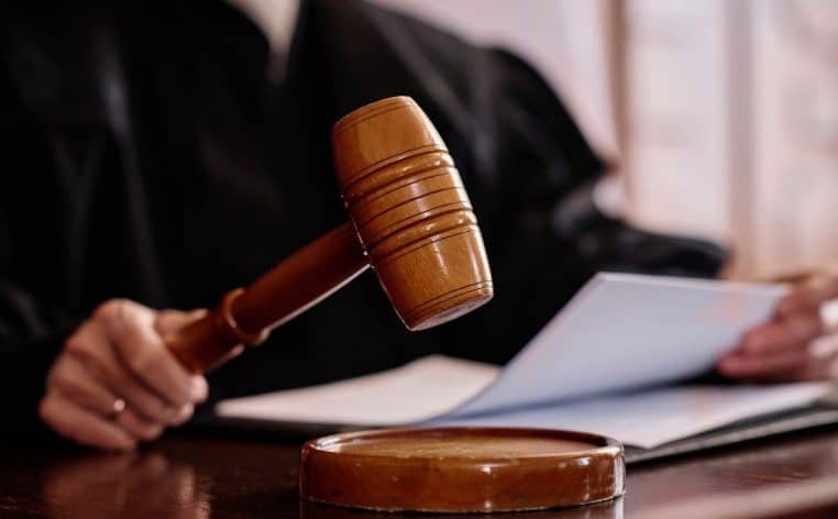 tribunal chien sursis jugement actu