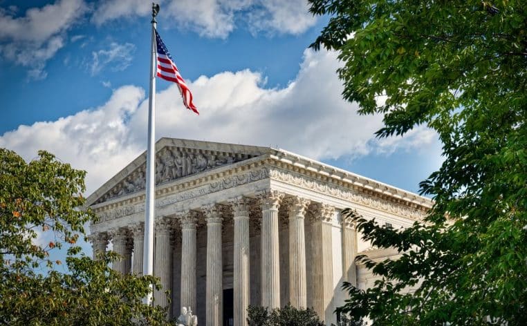 tribunal chien sursis jugement actu