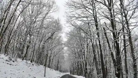 vague de froid pour le mois de fevrierrr - copie
