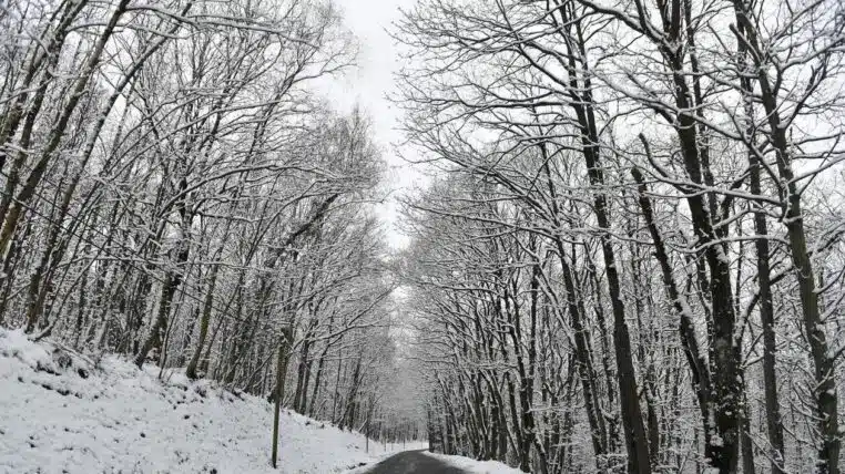 vague de froid pour le mois de fevrierrr - copie