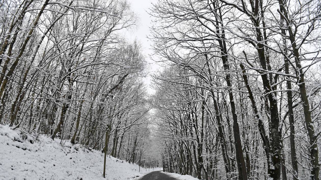 vague de froid pour le mois de fevrierrr - copie