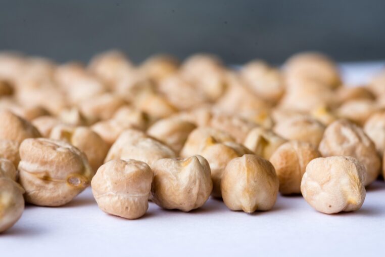 chickpeas, chick pea, peas, nikon, micro, macro, chickpeas, chickpeas, chickpeas, chickpeas, chickpeas, chick pea, chick pea