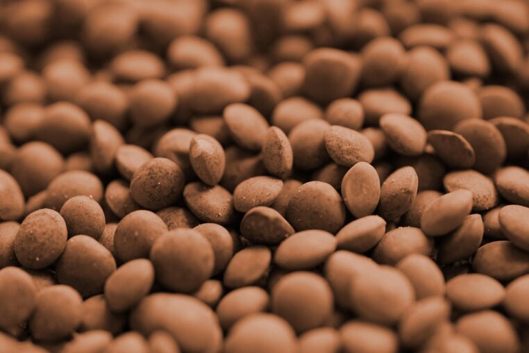 lentils, food, vegetable, legumes, nutrition, organic, lentils, lentils, lentils, lentils, lentils