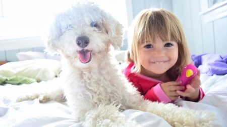 Chien Sante Enfants