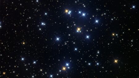 Etoiles Amas Ruche