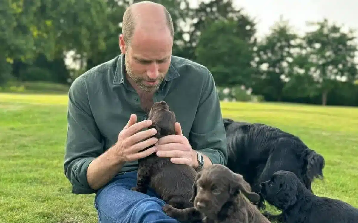 Kate-Middleton-Prince-William
