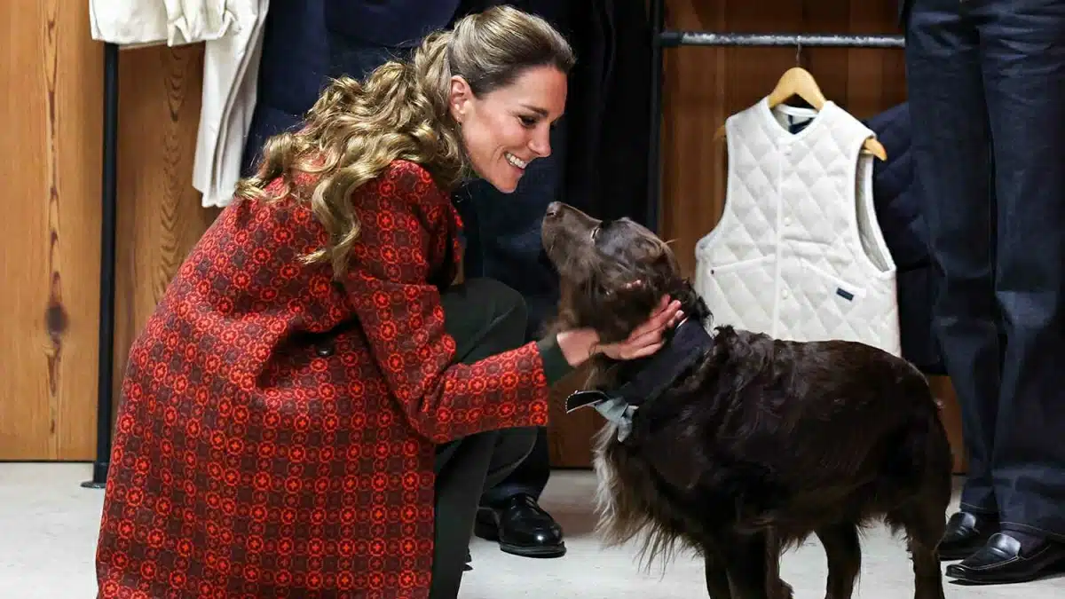 Kate Middleton Revelations