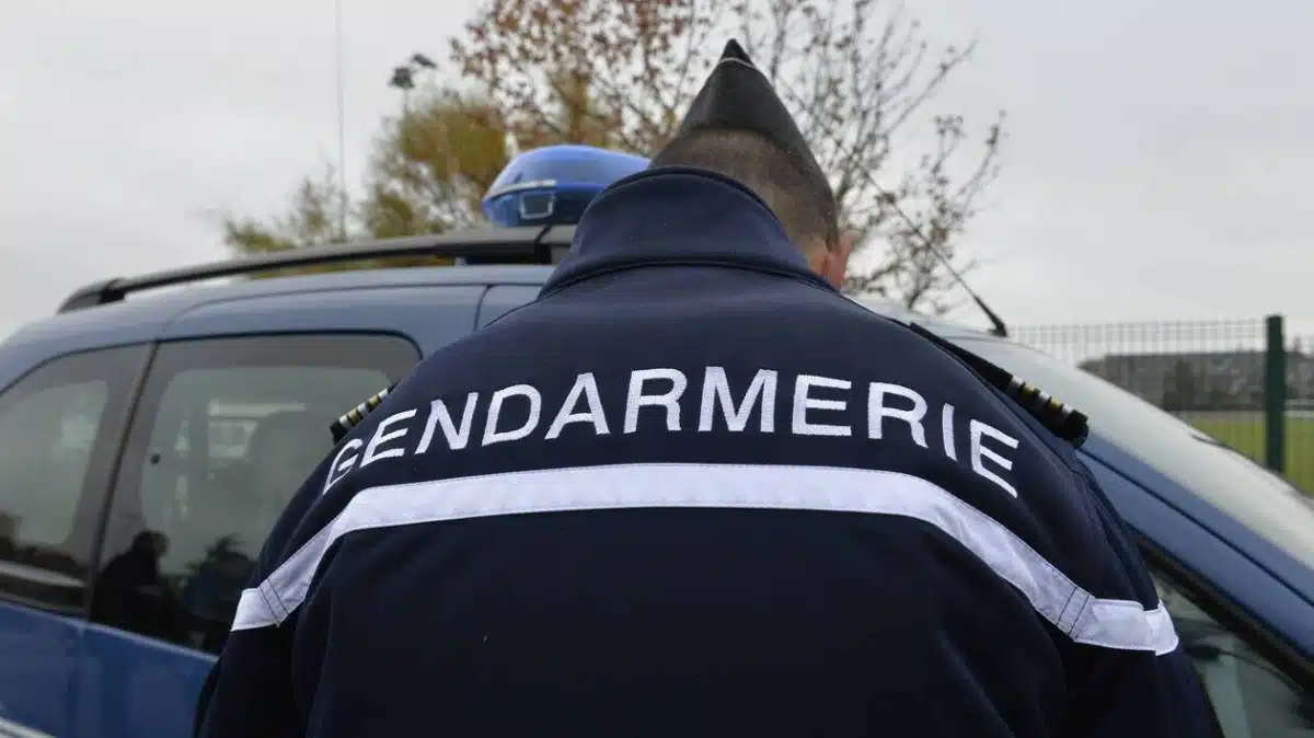 SDF Arrestation Gendarmes