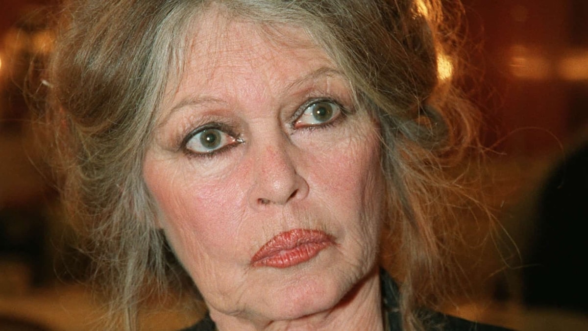brigitte-bardot-mari-pas-autorise-madrague.jpg
