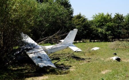 crash avion chien