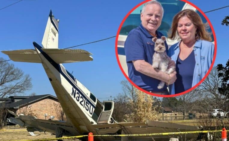 crash avion chien info