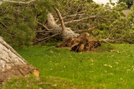 Mort d'un chauffeur poids lourd dans les Landes