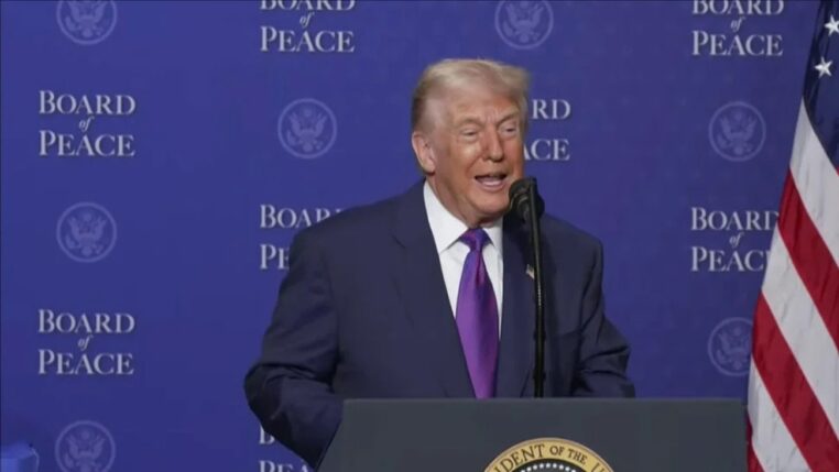 Donald Trump Epstein files