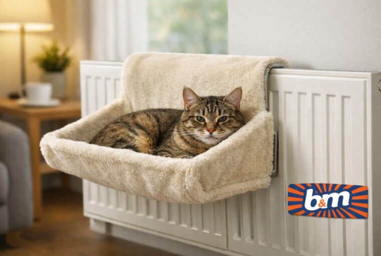 Image d’illustration : chat installé dans un lit hamac de radiateur pour chat, avec logo B&M discret.