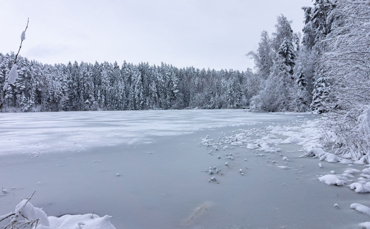 lac gelé secours info