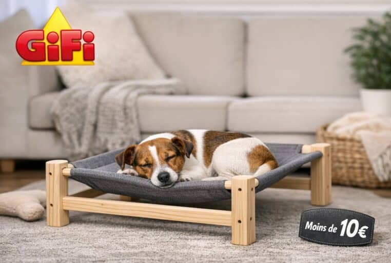 Lit surélevé pour animal GiFi en bois et toile grise, mis en avant dans un salon cosy, avec logo GiFi.