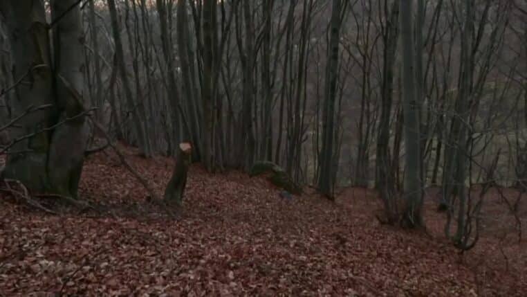 miraculé il survit cinq jours dans un ravin