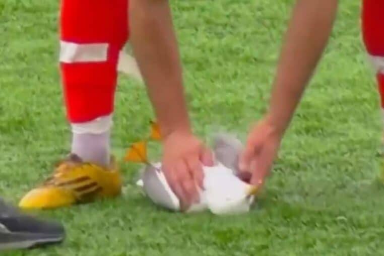 Football : une mouette heurtée par un ballon