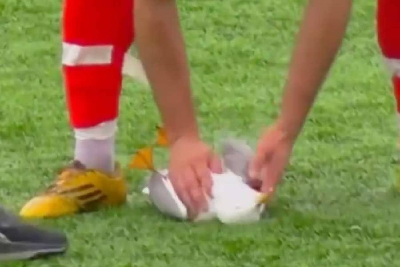 Football : une mouette heurtée par un ballon