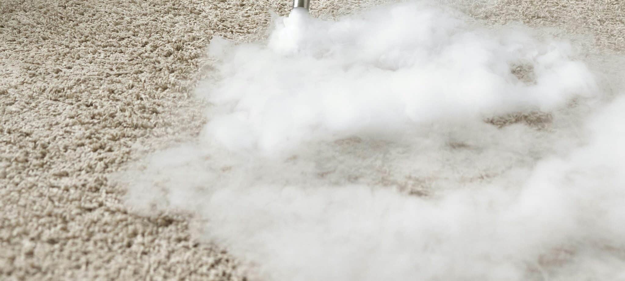 Nettoyeur vapeur Lidl