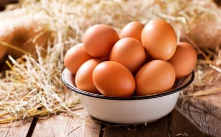 oeufs œufs actu