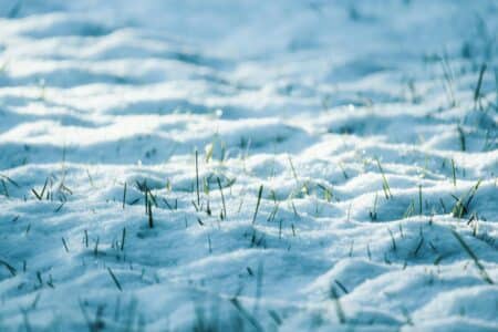 Retour inattendu de la neige