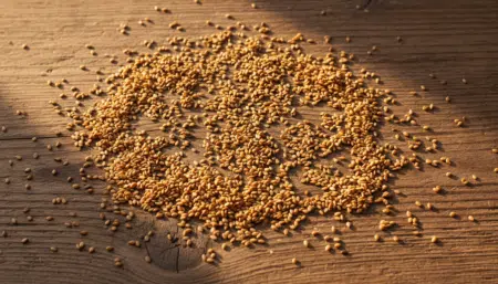 Cette minuscule graine surpasse le lait : 8 fois plus de calcium et des effets stupéfiants sur les os
