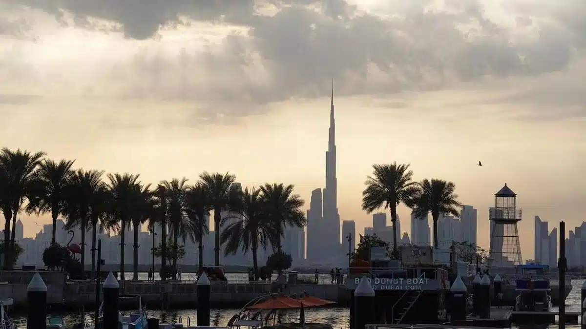 mélanie dedigama poussent coup de gueule contre ceux qui abandonnent animaux - copie