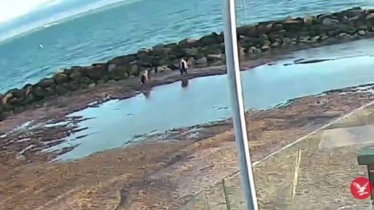 Une mère et sa fille coincées dans les sables mouvants