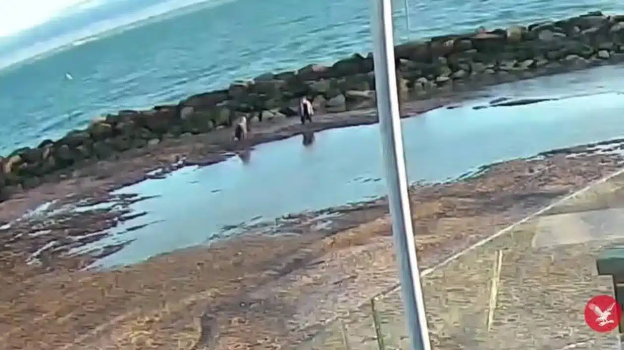 Une mère et sa fille coincées dans les sables mouvants